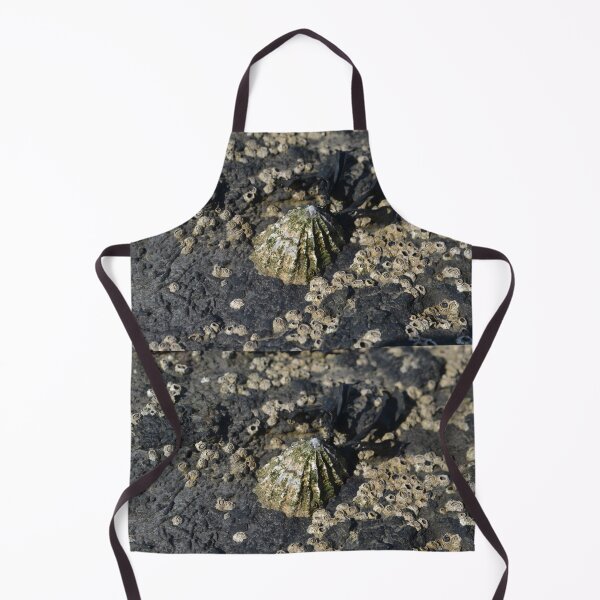 Item preview, Shells At The Sea: Barnacle and Limpets designed and sold by thelemmingface.