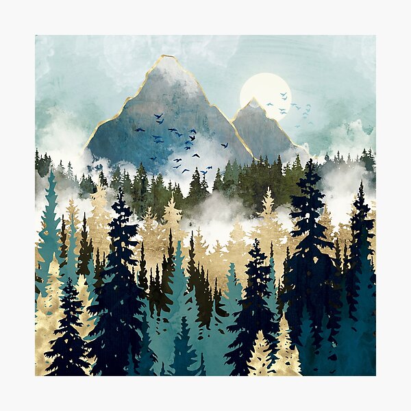 Misty Forest Wall Art for Sale