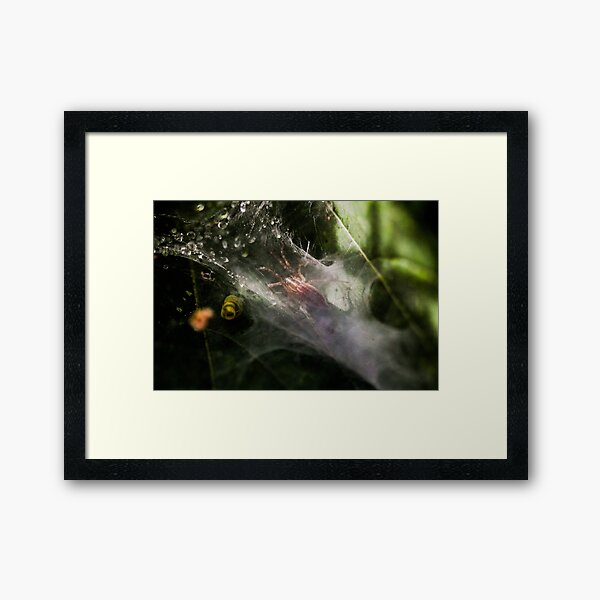Item preview, Spider In The Shadows designed and sold by Gary Horner.
