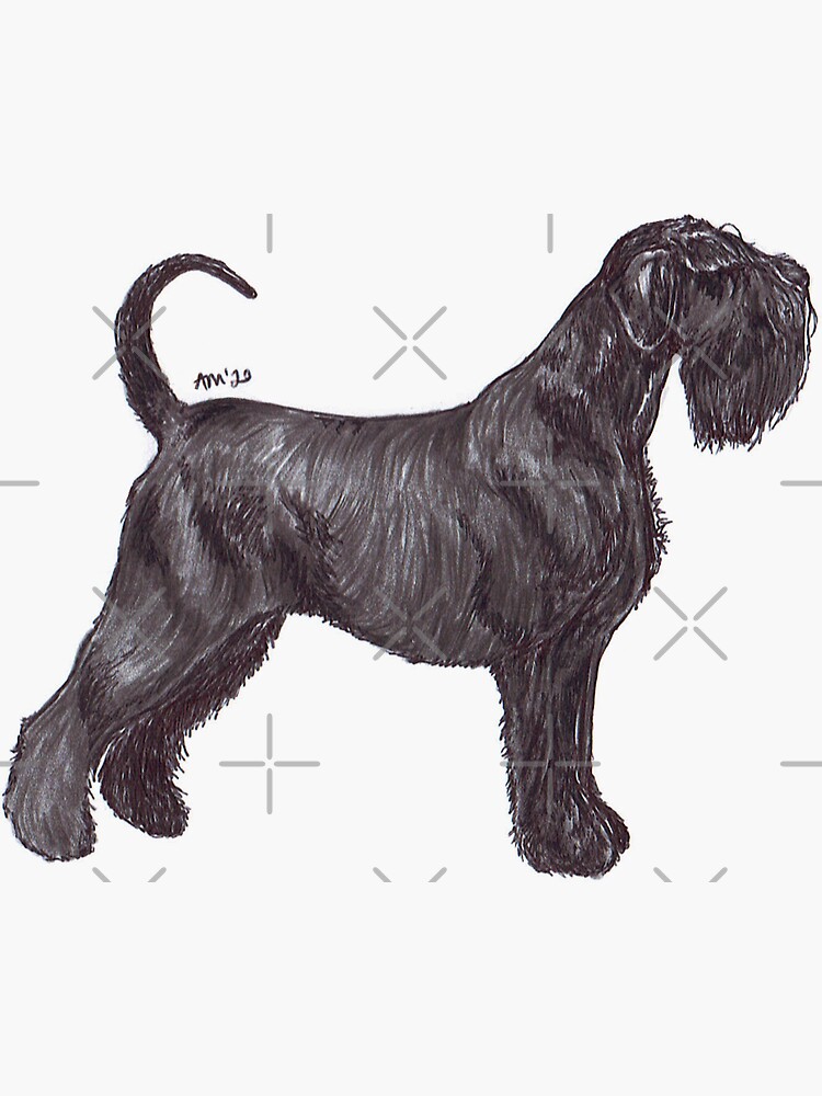 Giant Schnauzer Dog Breed Show Stack Stand
