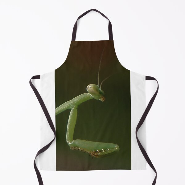 Item preview, Praying Mantis designed and sold by Angi Baker.