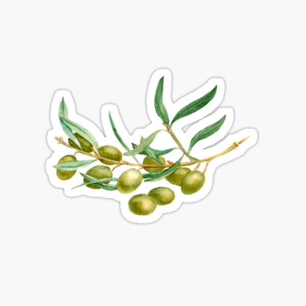 Olive Sticker