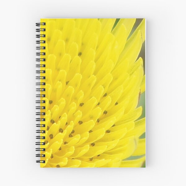 Item preview, Sunburst designed and sold by Angi Baker.