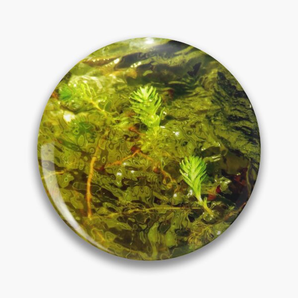 Item preview, On Golden Pond designed and sold by Angi Baker.