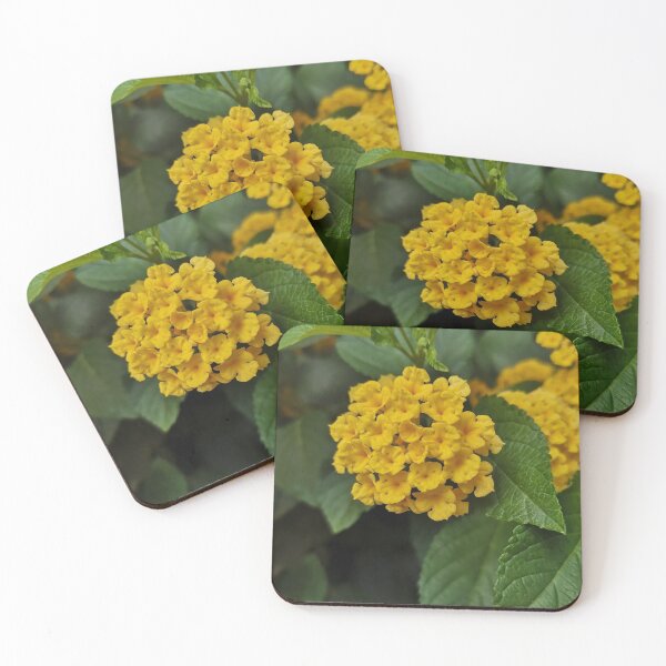 Item preview, Yellow flowers designed and sold by GlowDoodles.