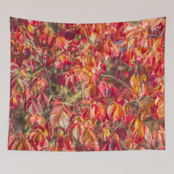 Item preview, The beauty of Autumn designed and sold by Li Kovacs.