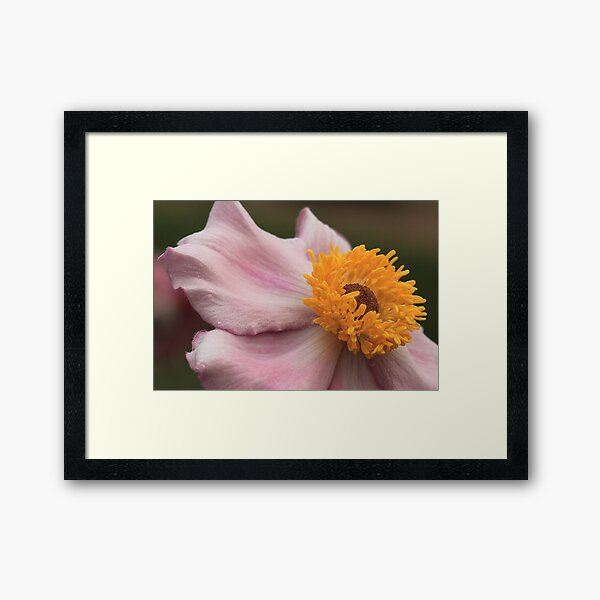 Item preview, Flower and Stamen designed and sold by Gary Horner.