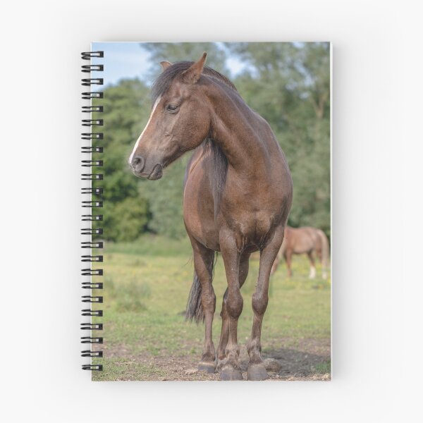 Item preview, This is my best side designed and sold by AWLPIX.