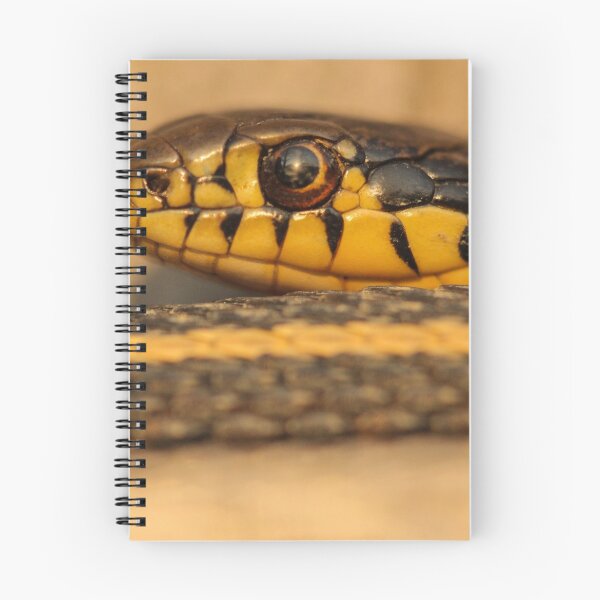Item preview, Gardner Snake Closeup designed and sold by Gary Horner.