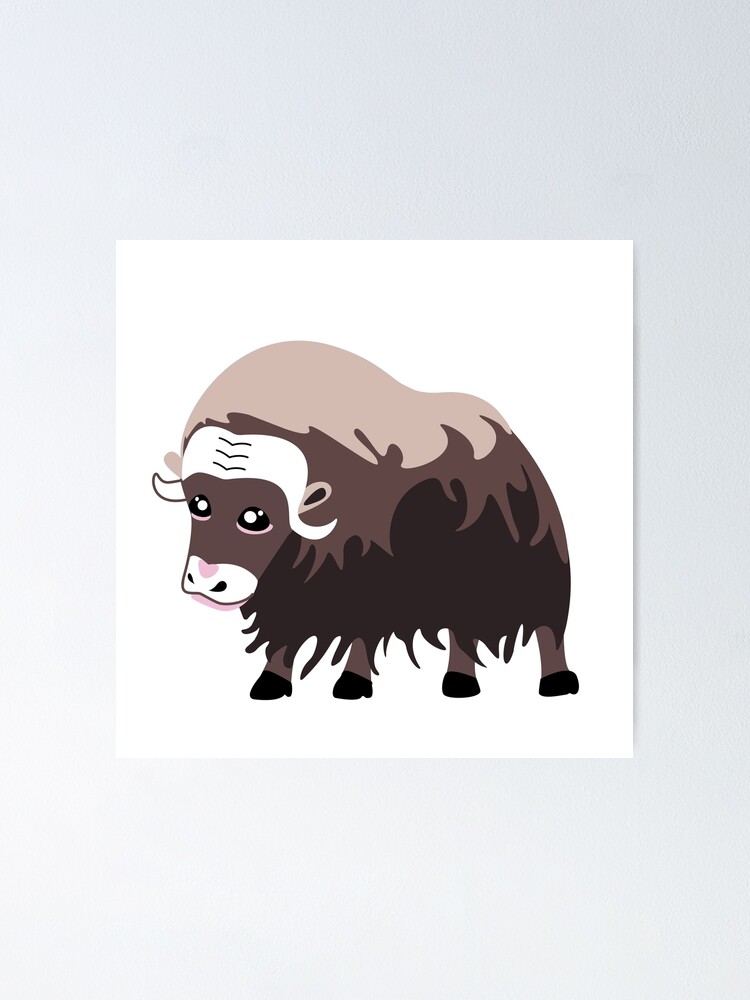 Muskox, musk ox and musk-ox, northpole wild animals Muskox, musk ox and musk-ox, northpole wild animals