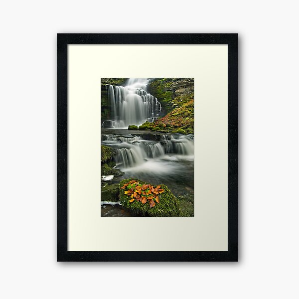 Scalebar Force, Settle Framed Art Print