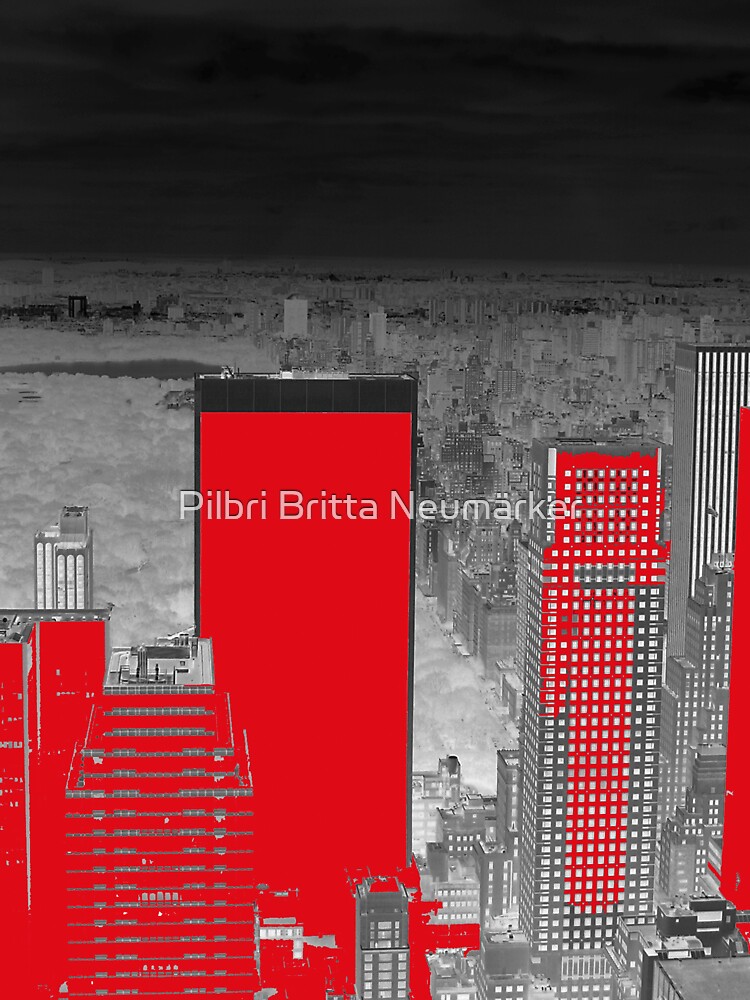 View Central Park New York von pilbri2018