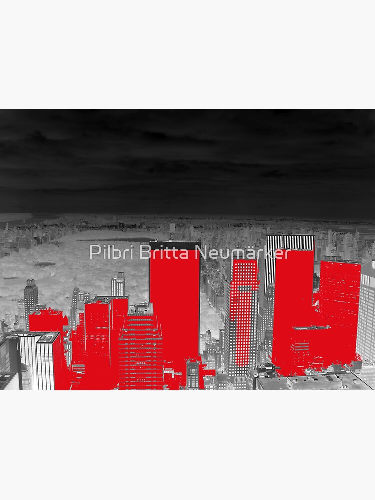 View Central Park New York von pilbri2018