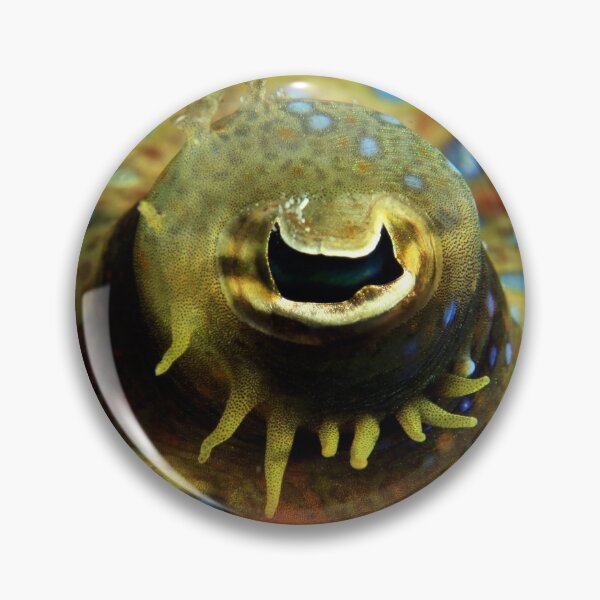 Item preview, Flounder eye designed and sold by AWLPIX.