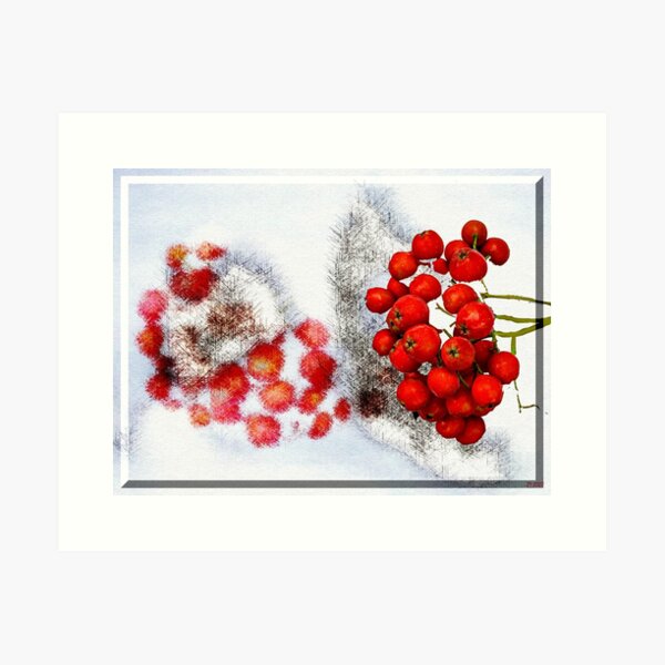 Artikel-Vorschau von Verschneite rote Beeren, designt und verkauft von Daniel Janda.