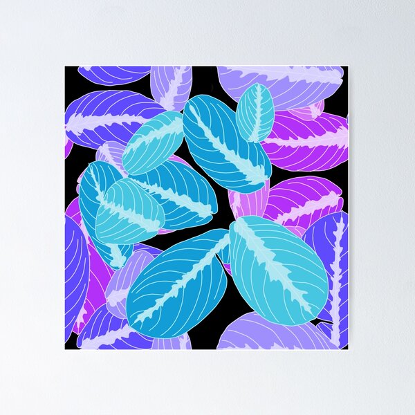 Item preview, Prayer plant 2 designed and sold by terastar.