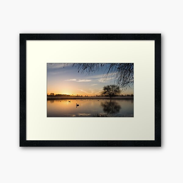 Sunrise at Bushy Park Framed Art Print