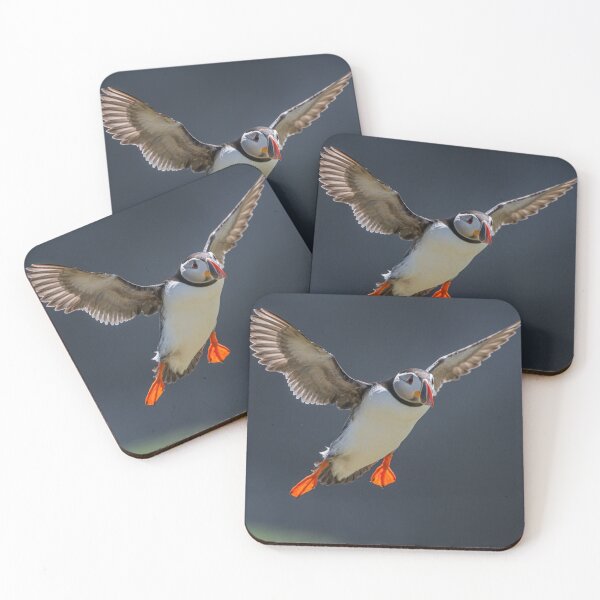 Item preview, Atlantic puffin (Fratercula arctica) designed and sold by Steve Liptrot Photography.