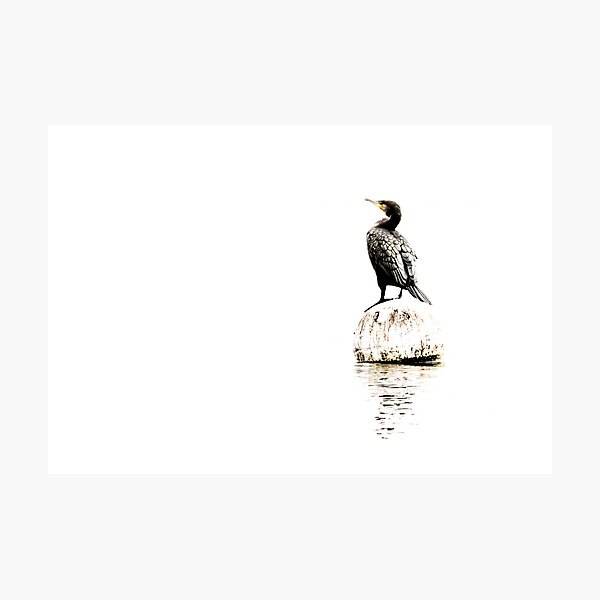 A suitable buoy Photographic Print