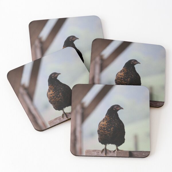 Item preview, Hen designed and sold by jean-nicolas.