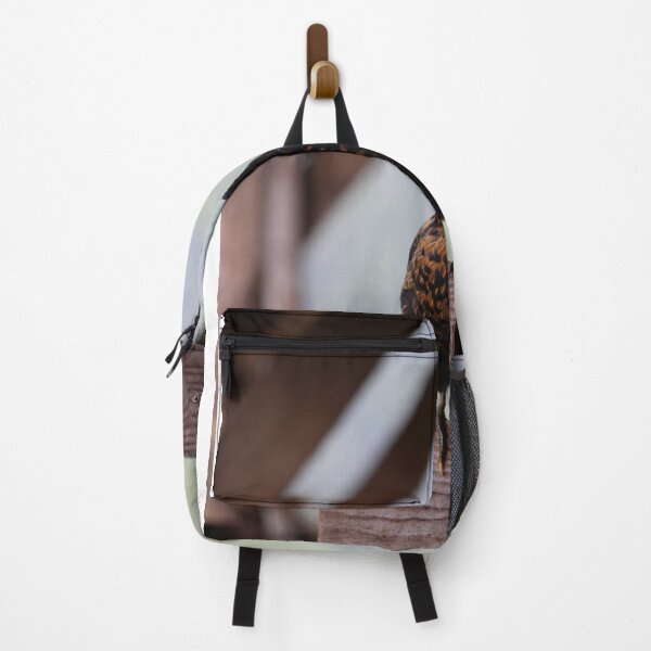 Item preview, Hen designed and sold by jean-nicolas.