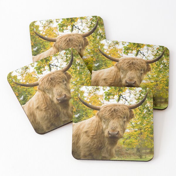 Item preview, Inquisitive Cow designed and sold by Jane Stanley Photography.
