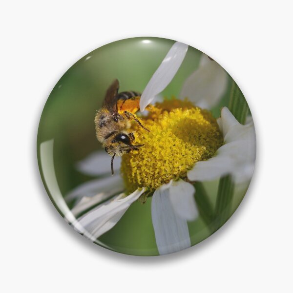 Item preview, Plasterer bee designed and sold by GreyFeatherPhot.