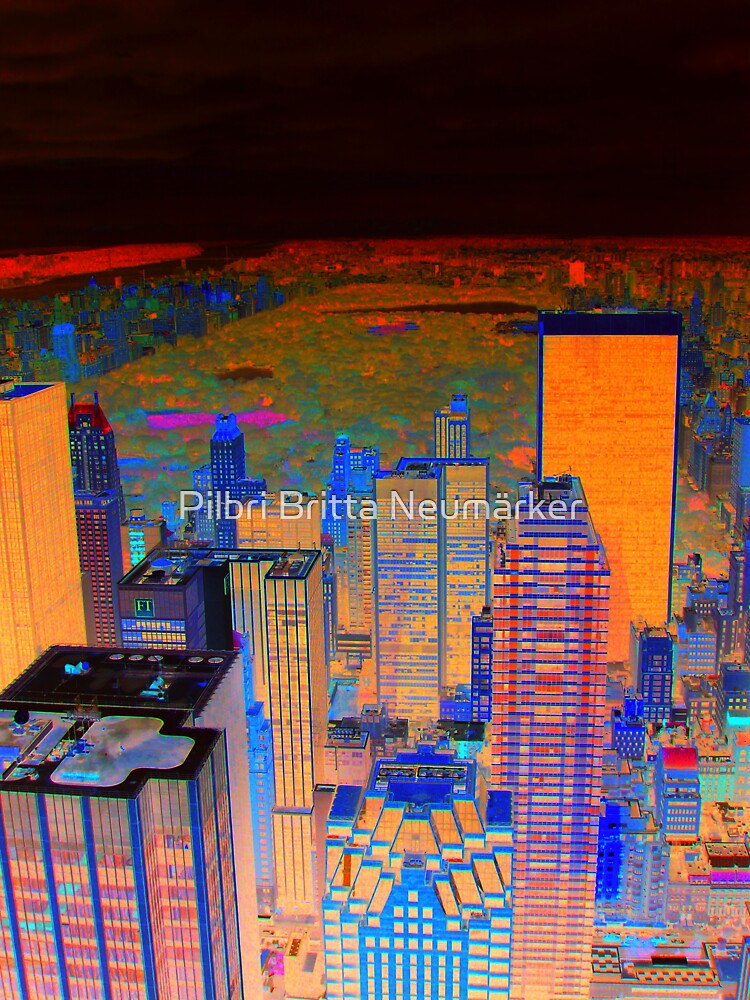 View Central Park New York 2 von pilbri2018