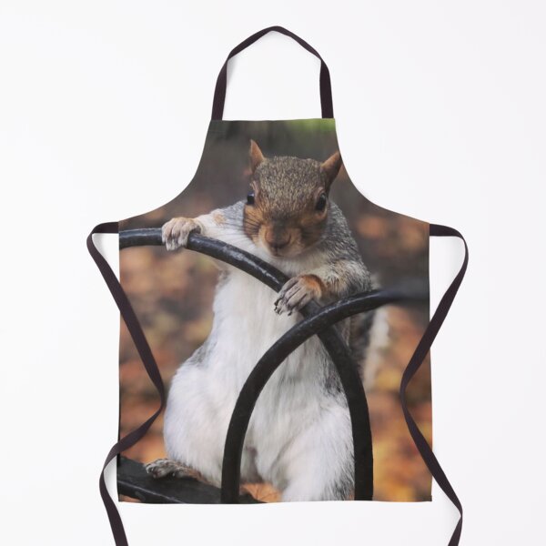 Item preview, Curious Squirrel designed and sold by Sarah Cockle.