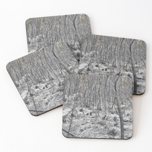 Item preview, Ash In A Burnt Woodland designed and sold by thelemmingface.