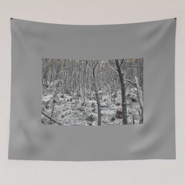 Item preview, Ash In A Burnt Woodland designed and sold by thelemmingface.