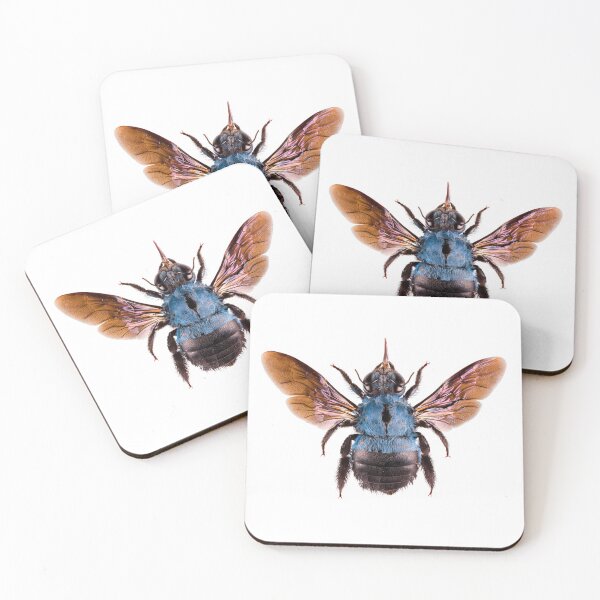 Item preview, Cerulean Carpenter Bee (Xylocopa Caerulea) designed and sold by Tim Christensen.