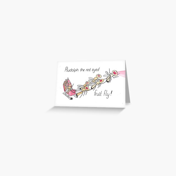 Item preview, Fruit Fly Christmas Card - Reindeer designed and sold by DaniEdmunds.