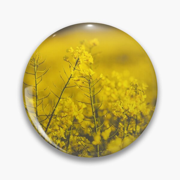 Item preview, Rapeseed - Oilseed - Yellow Flowers in a Field designed and sold by ittybittyowl.