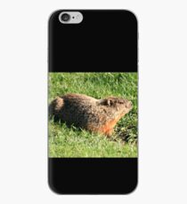 Marmotte iPhone Case
