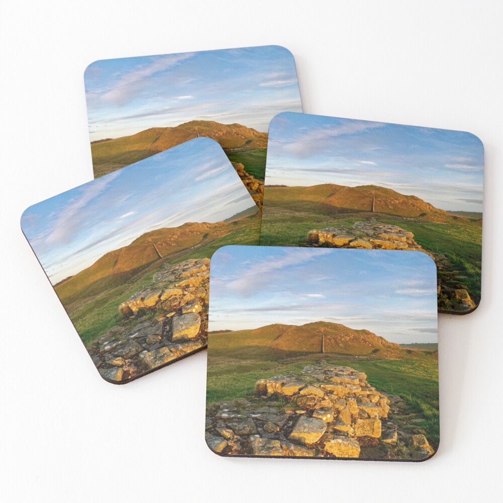 Item preview, Coasters (Set of 4) designed and sold by sjbowen.