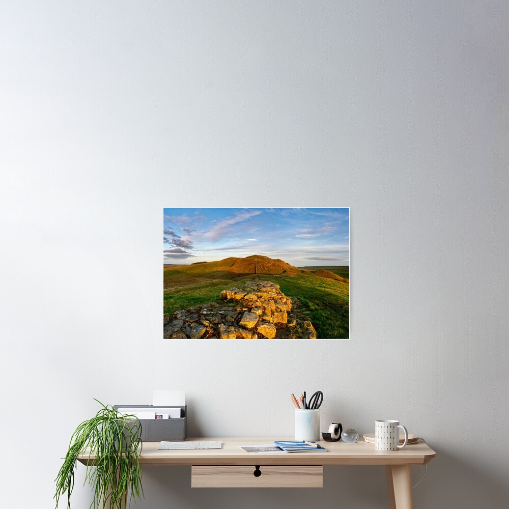 Item preview, Poster designed and sold by sjbowen.
