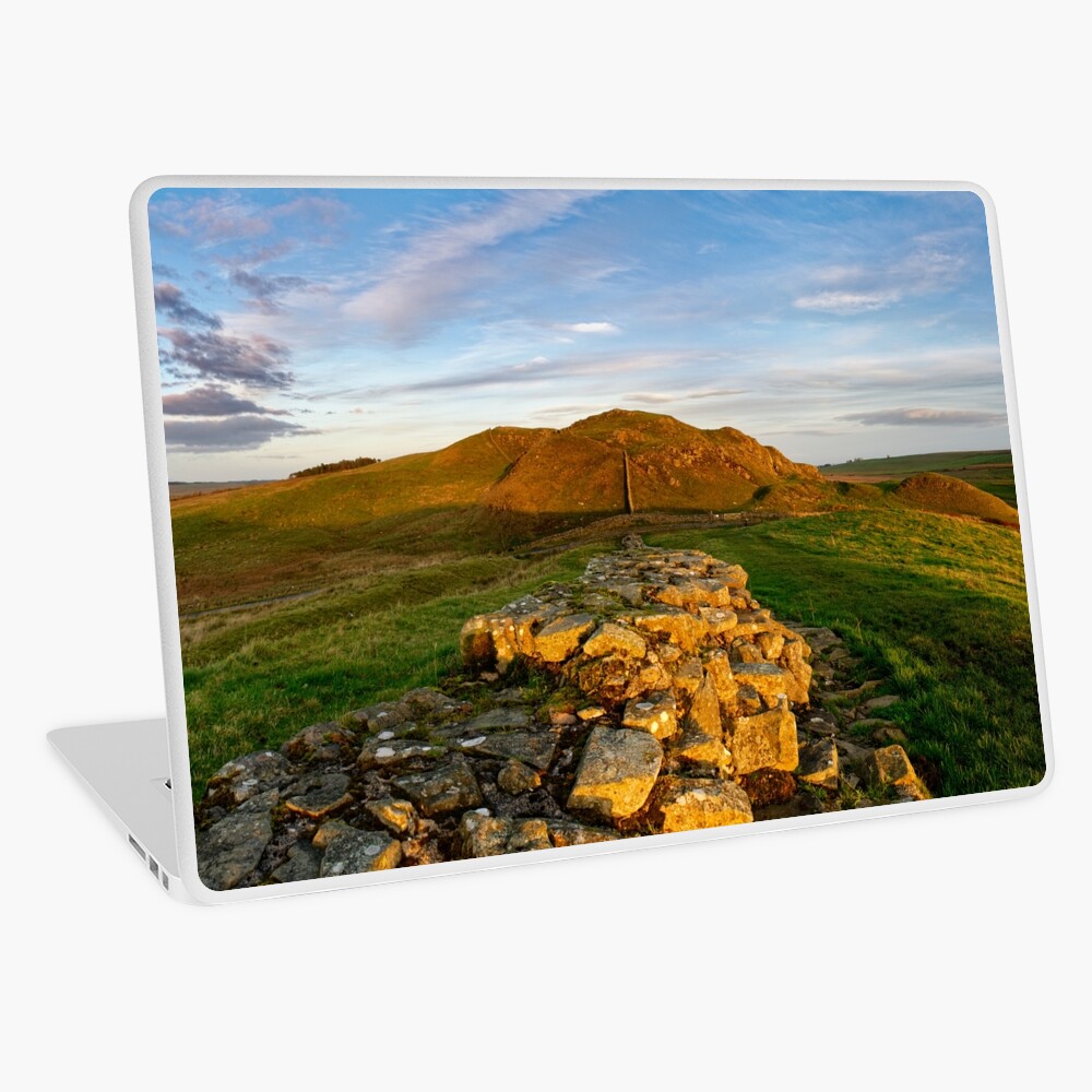 Item preview, Laptop Skin designed and sold by sjbowen.