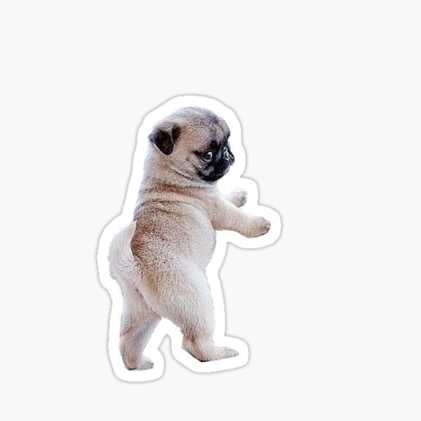 Stickers sur le thème Pug | Redbubble