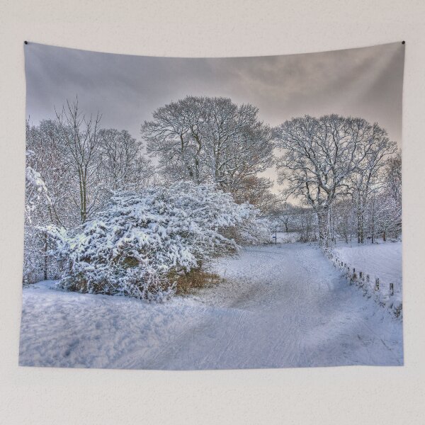 Item preview, Snowy Path designed and sold by tomg.