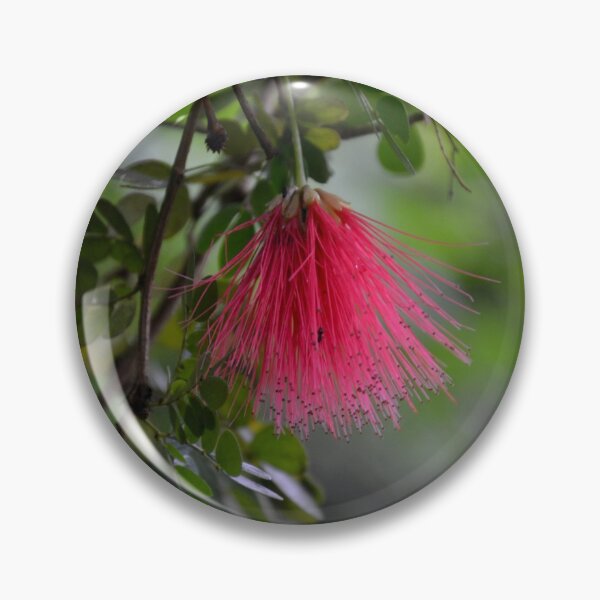 Artikelvorschau, Eine rosa flauschige Blume entworfen und verkauft von thelemmingface.