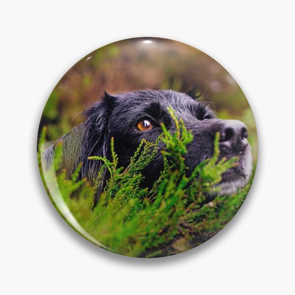 Item preview, Black Dog Sam designed and sold by PurpleBluesPets.