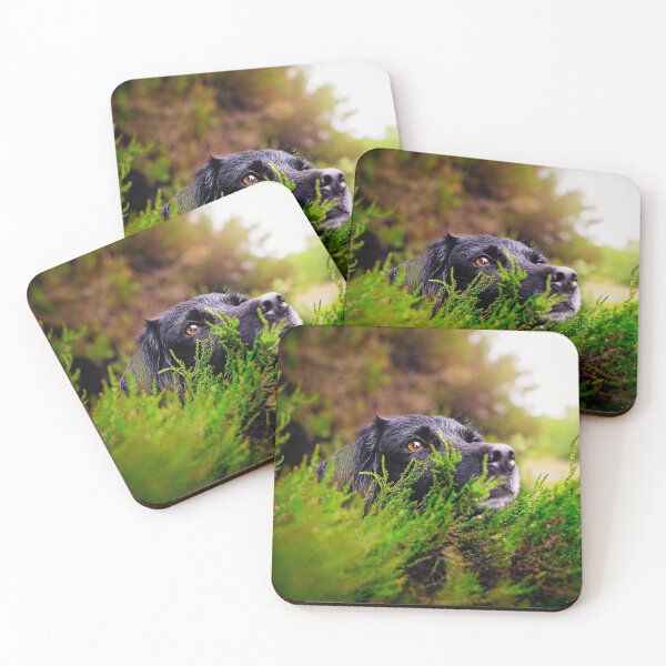 Item preview, Black Dog Sam designed and sold by PurpleBluesPets.