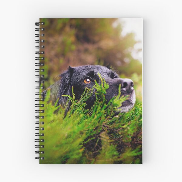 Item preview, Black Dog Sam designed and sold by PurpleBluesPets.