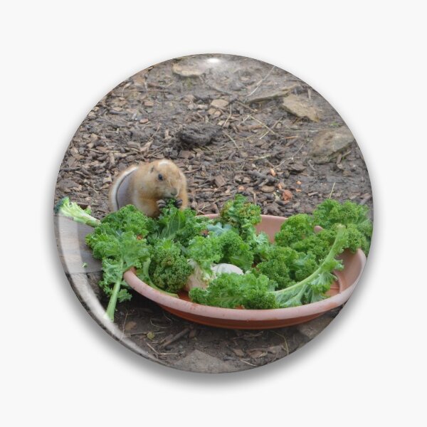 Item preview, Prairie Dog Eating Salad designed and sold by thelemmingface.