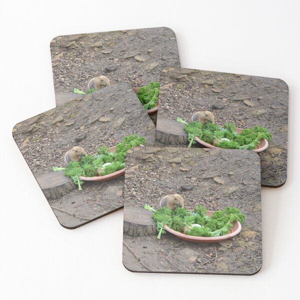 Item preview, Prairie Dog Eating Salad designed and sold by thelemmingface.