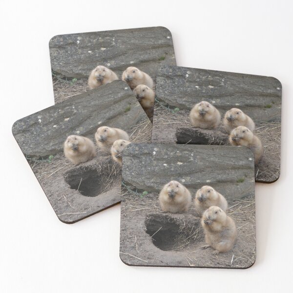 Item preview, Prairie Dogs Around Their Hole designed and sold by thelemmingface.