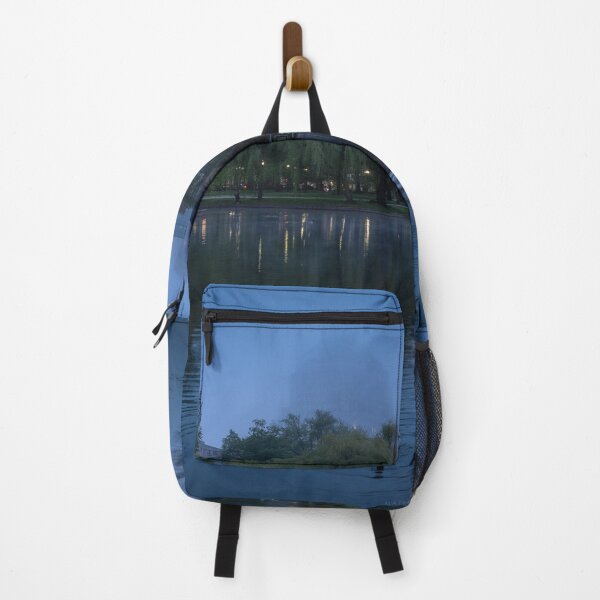 Item preview, Moody evening in the Public Garden, Boston designed and sold by Under The Radar Van.
