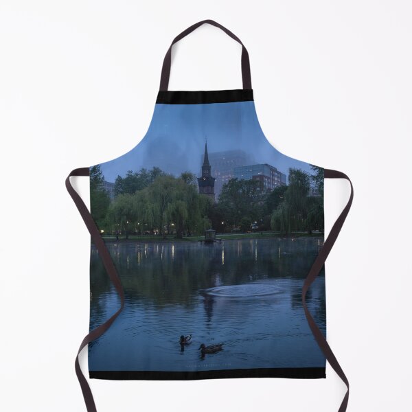 Item preview, Moody evening in the Public Garden, Boston designed and sold by Under The Radar Van.