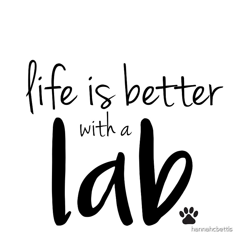 life is better with a lab by hannahcbettis | Redbubble ‘life is better with a lab’ by hannahcbettis